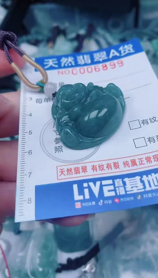 颈饰未镶嵌翡翠00006899