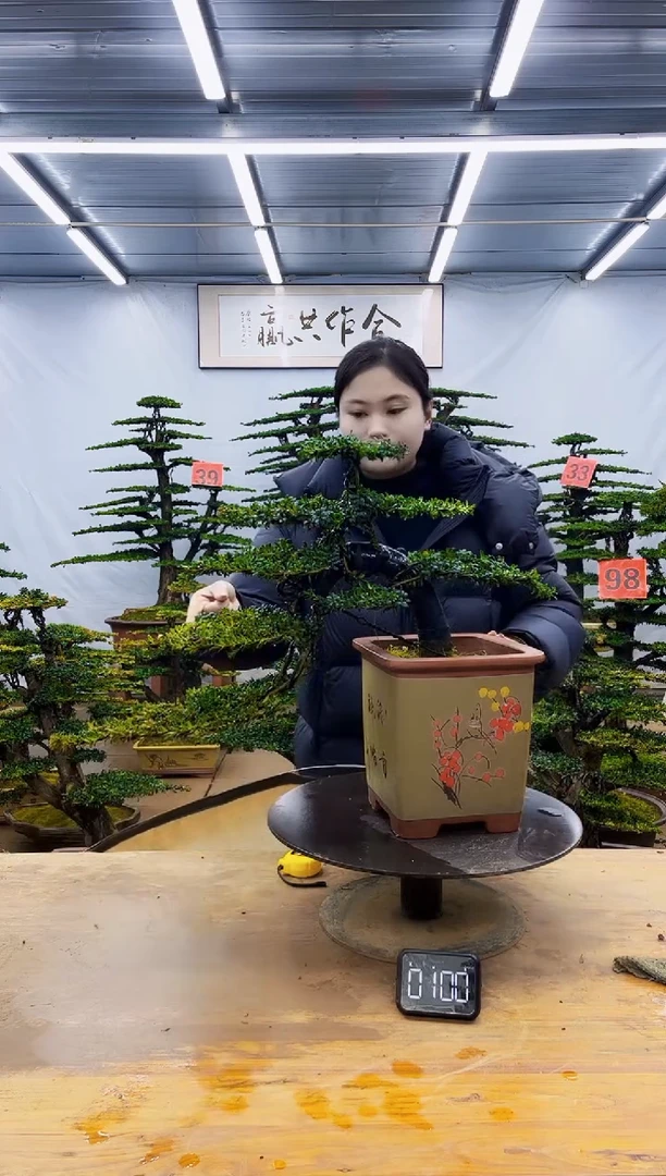 无花朵一物一拍·所见即所得