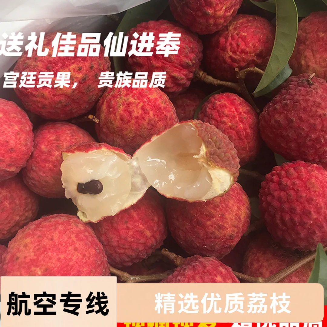 仙进奉【顺丰航空12-48小时达】广西新鲜荔枝3斤5斤8斤现摘现发小核