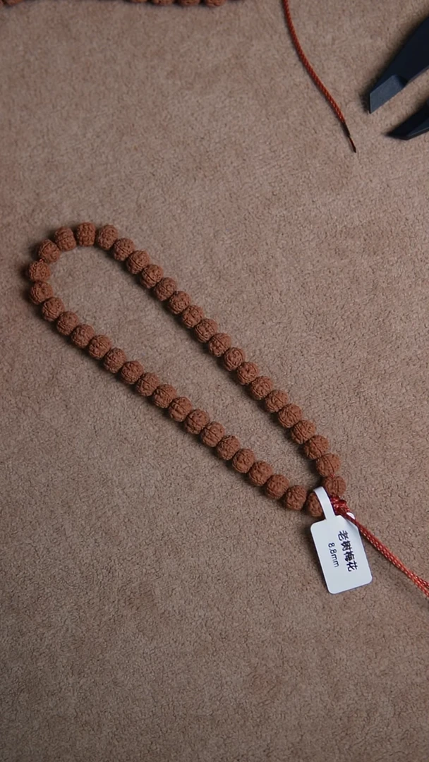 手串金刚菩提?****?老树梅花