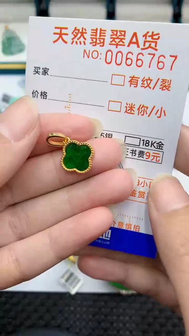 【闪购商品】翡翠颈饰银S925镶嵌            8