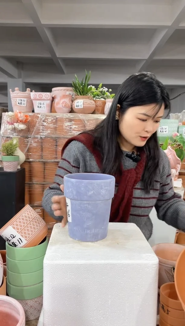 【闪购商品】红陶紫色向日葵14-16