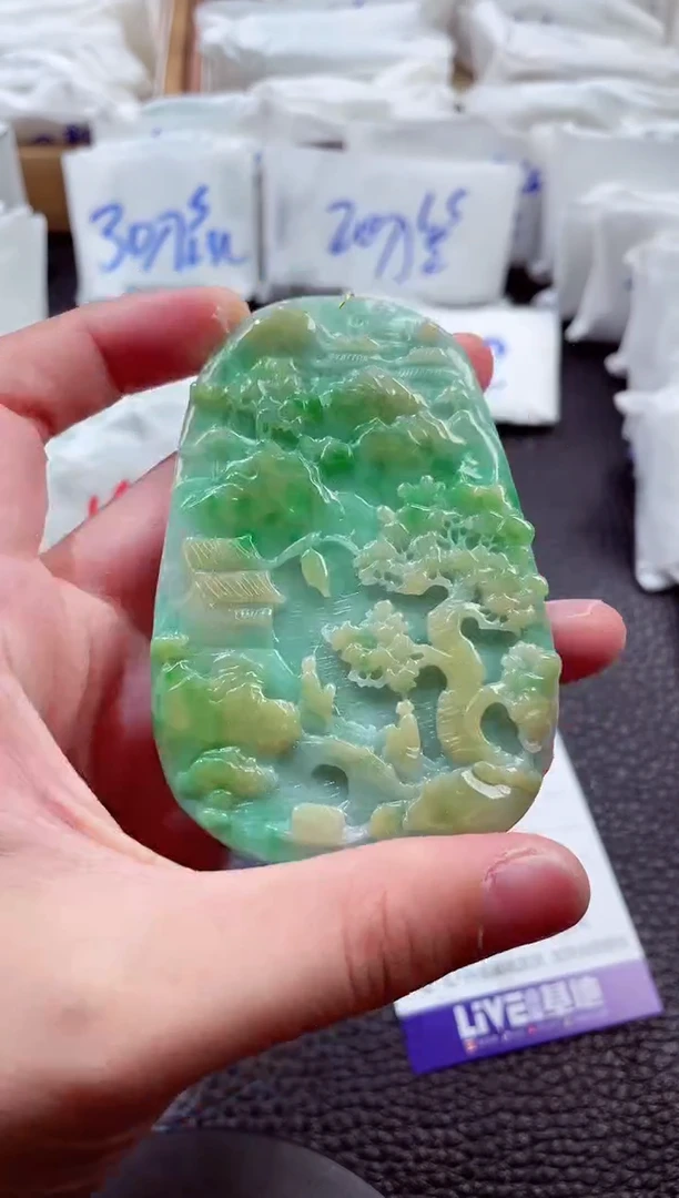 颈饰未镶嵌翡翠00003330