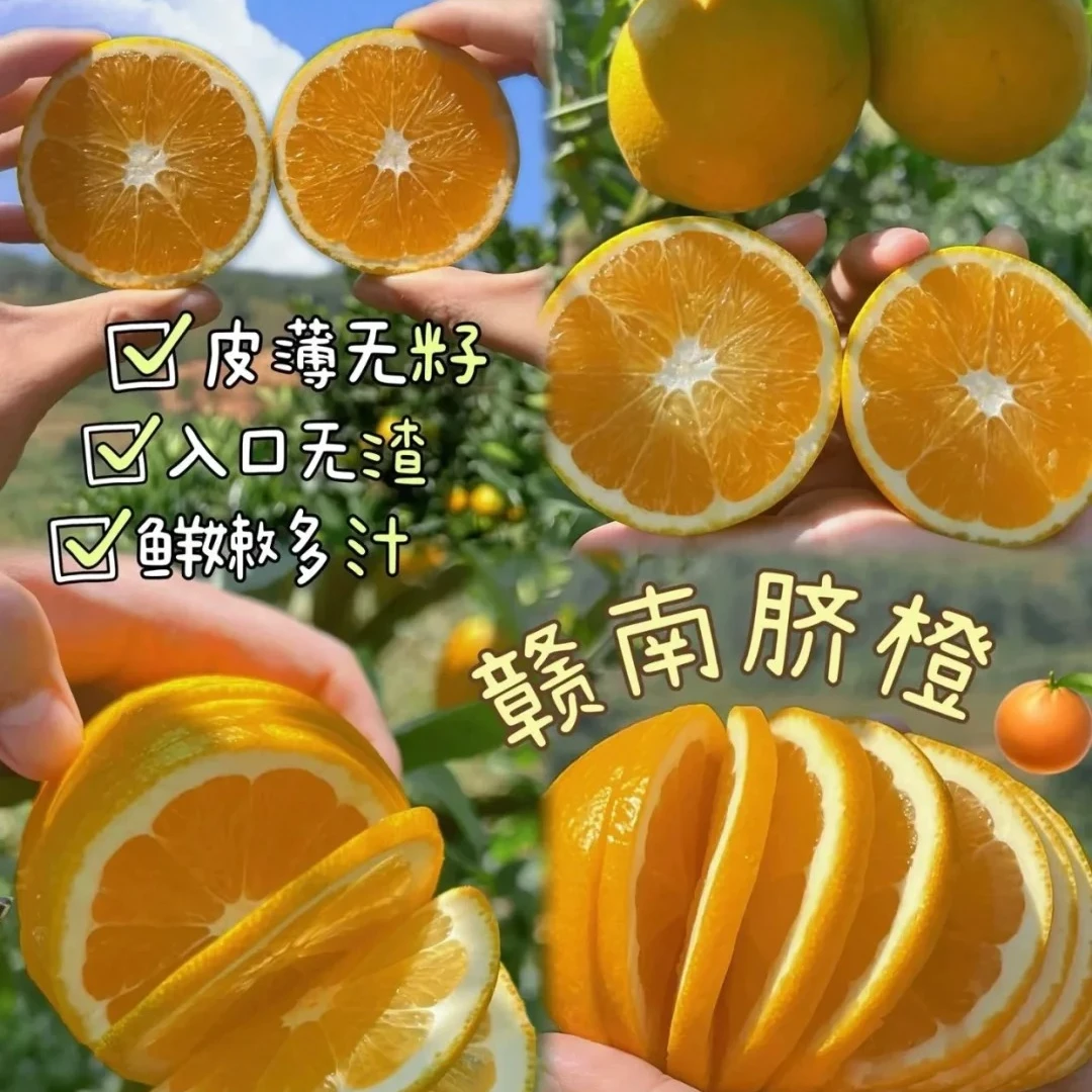 【体验装】年货节正宗赣南脐橙新鲜橙子5斤小果混装当季现摘水果香甜多汁