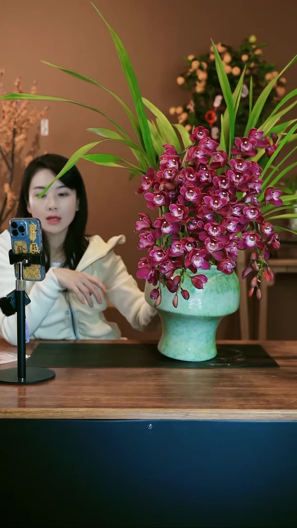 【闪购商品】盆景小紫