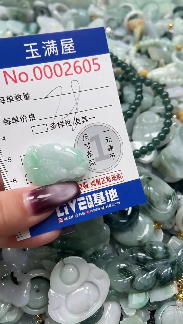 颈饰未镶嵌翡翠2605