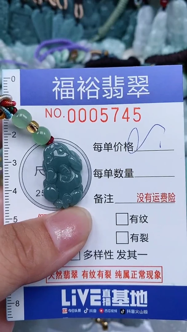 颈饰未镶嵌翡翠...0005745