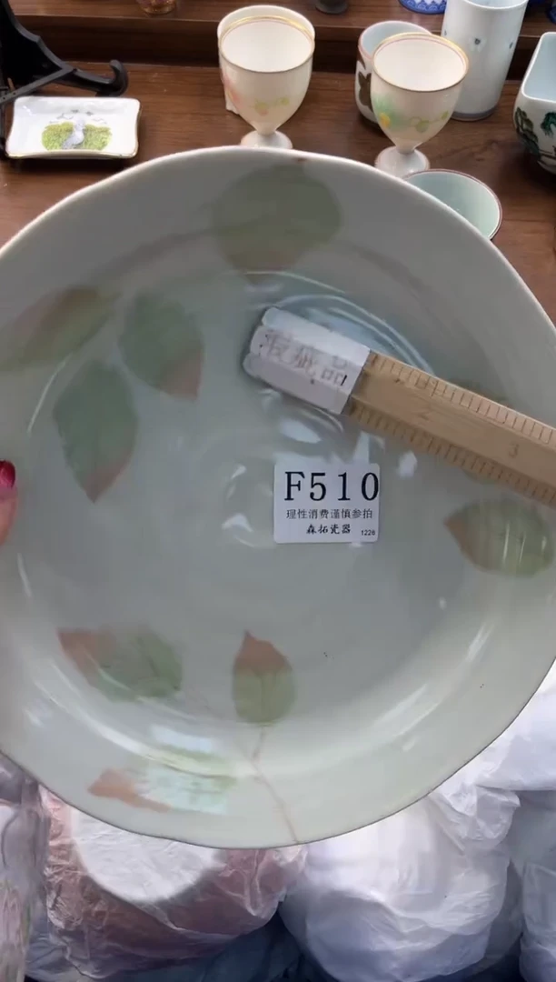 【闪购商品】瓷片----------F510