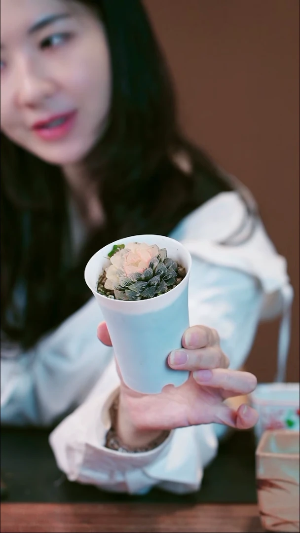 全部花朵红岩盆景盆景盆景