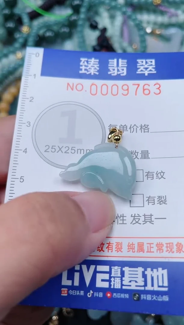 翡翠未镶嵌颈饰.0009763