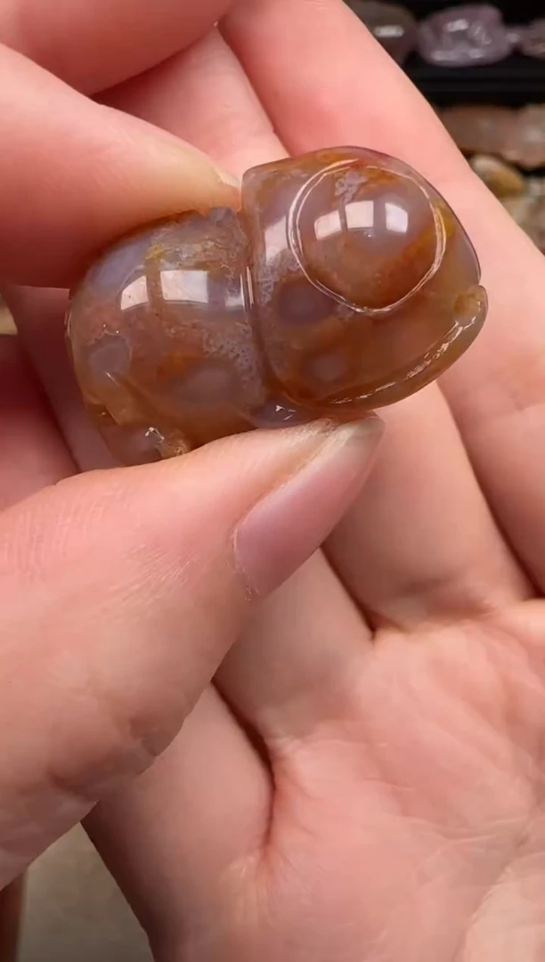 硅化珊瑚（珊瑚玉）未镶嵌颈饰374