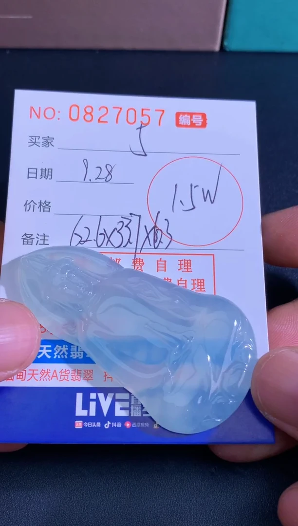 颈饰未镶嵌翡翠5****Ё5