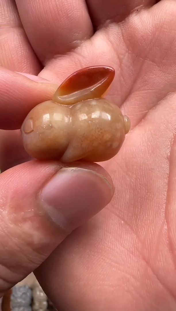 【闪购商品】硅化珊瑚（珊瑚玉）颈饰未镶嵌554