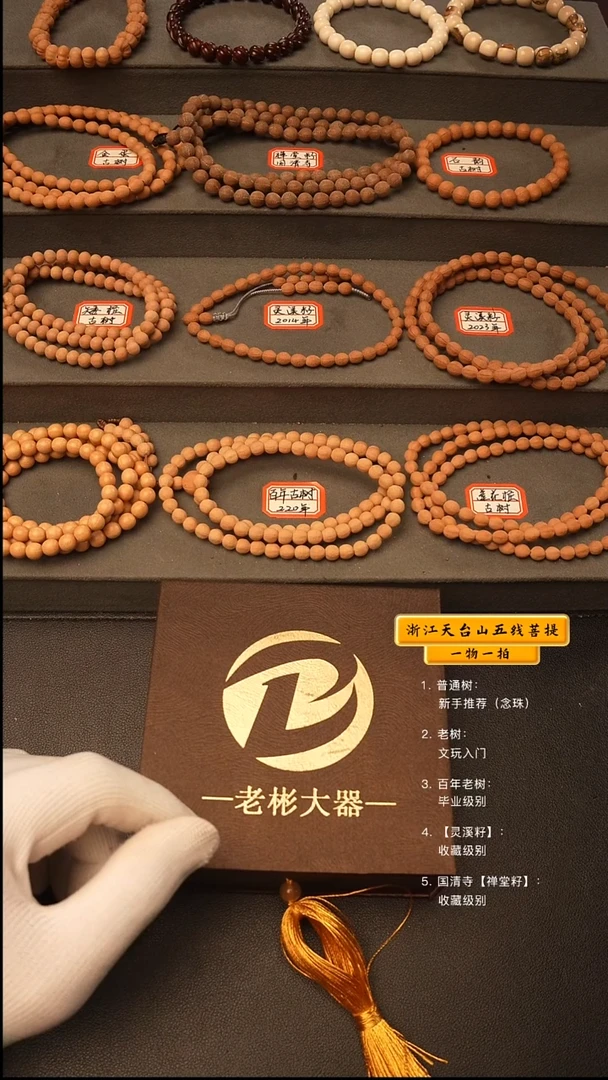 吊坠五线菩提手串