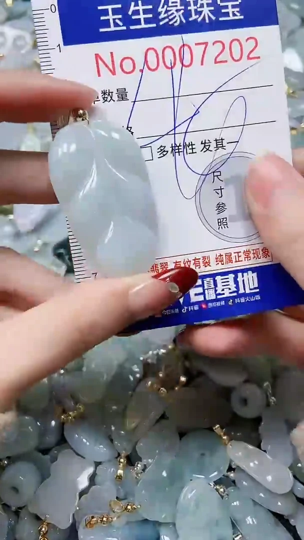 【闪购商品】翡翠颈饰未镶嵌闪购00007202