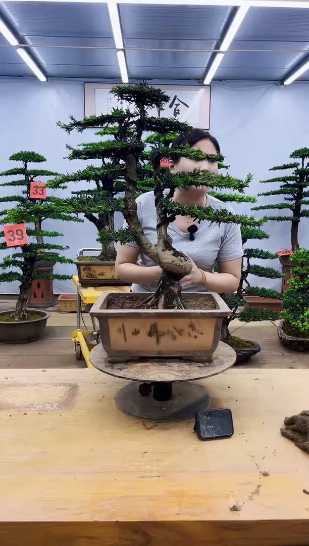 无花朵一物一拍，所见即所得