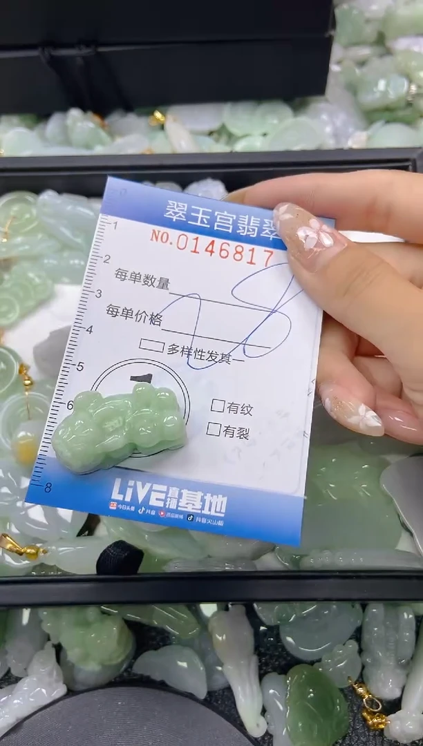 翡翠未镶嵌颈饰闪购0146817