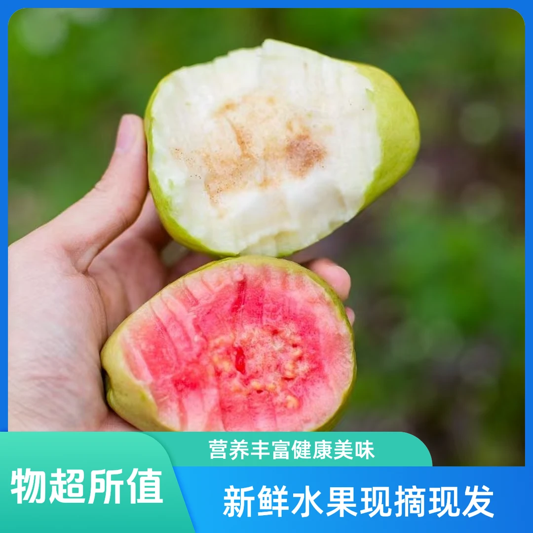 芭乐/番石榴(严选店)