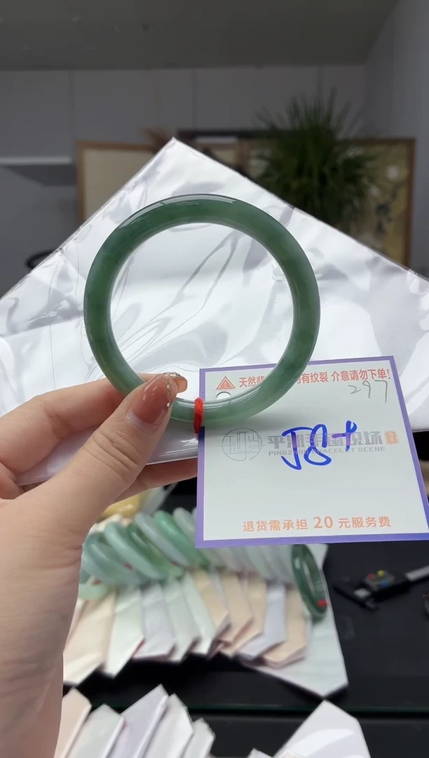 未镶嵌手镯翡翠11111111