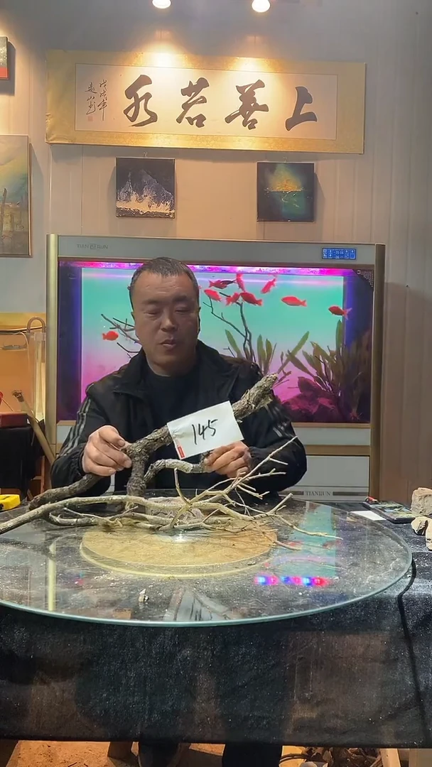 145号天然黄栎木一组