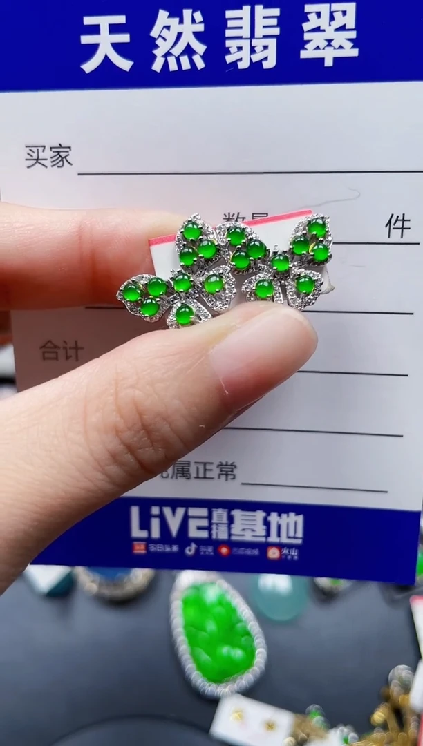 银S925镶嵌翡翠耳饰492