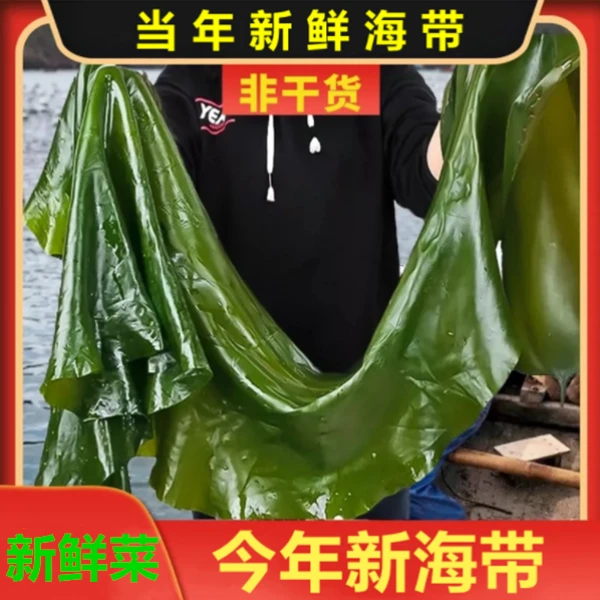 【娥哥专属】大连新鲜凉拌盐渍嫩海带5斤/箱(含箱5斤)鲜嫩营养产品