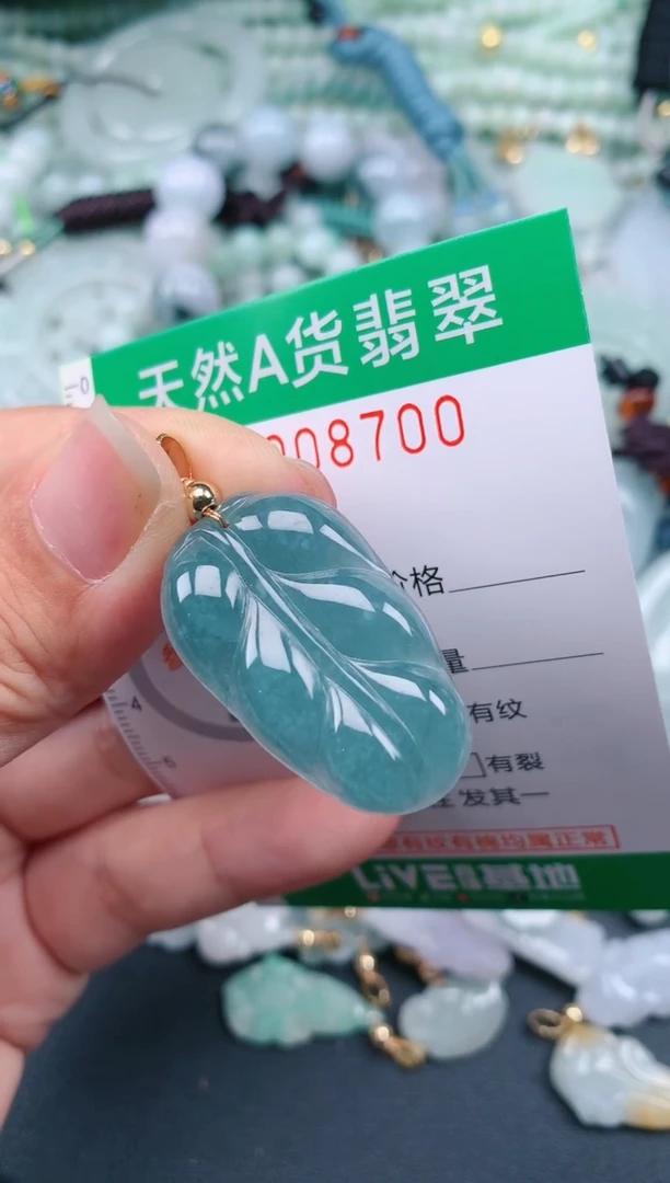 翡翠未镶嵌颈饰.0008700