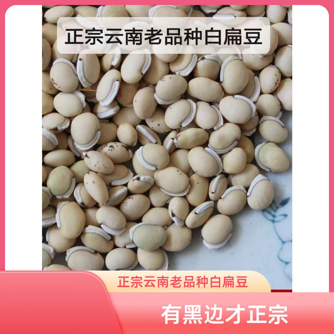 云南山货  云南老品种白扁豆带黑边农家自产