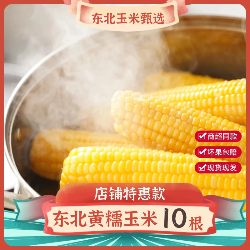 东方同行黄糯玉米10根减减滚烫玉米营养代餐玉米真空包装粗粮