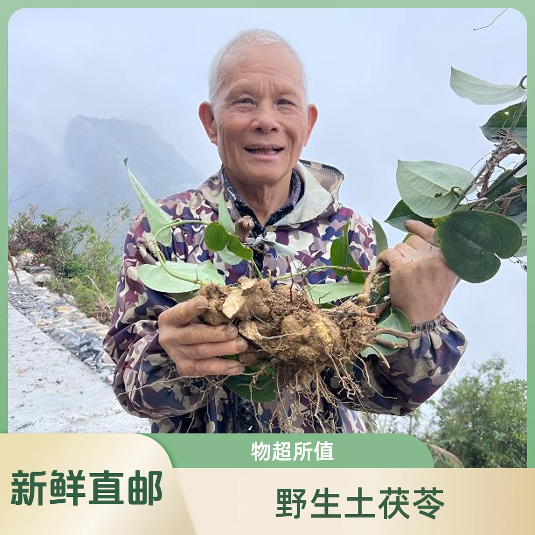 （瑶山土茯苓）野生土茯苓 广西300米海拔深山现挖现晒土货煲汤料