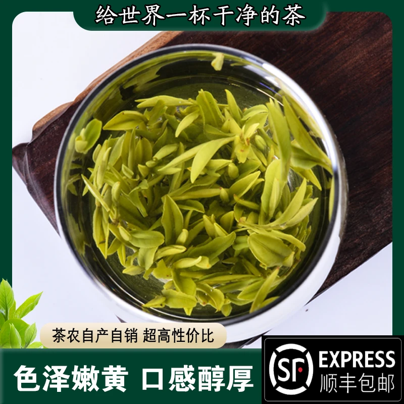 A3黄山毛峰1号（新春好茶送礼佳品）