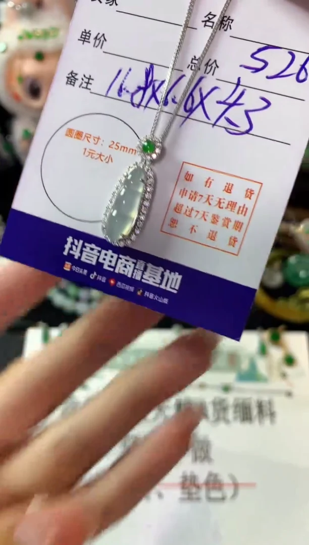 翡翠银S925镶嵌颈饰翡翠