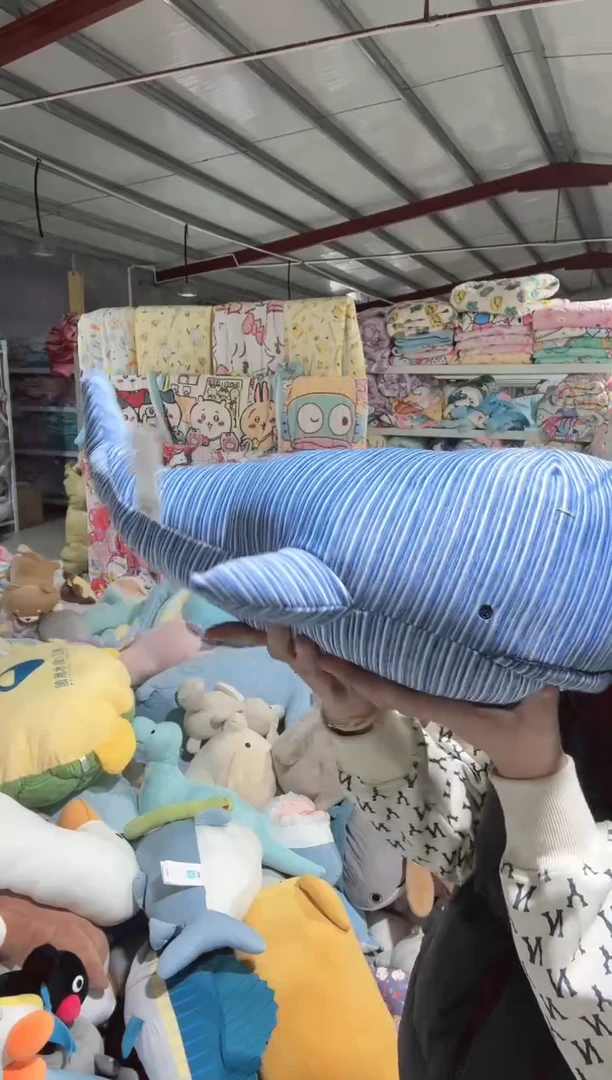 瑕疵     冷感 鲨鱼