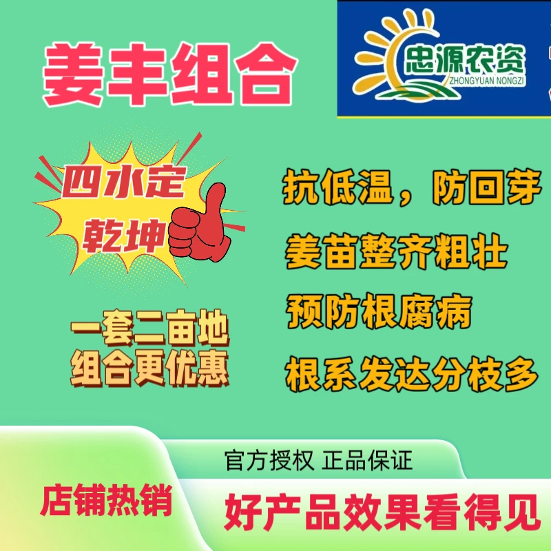 姜丰四水组合抗低温抗逆齐苗促分枝