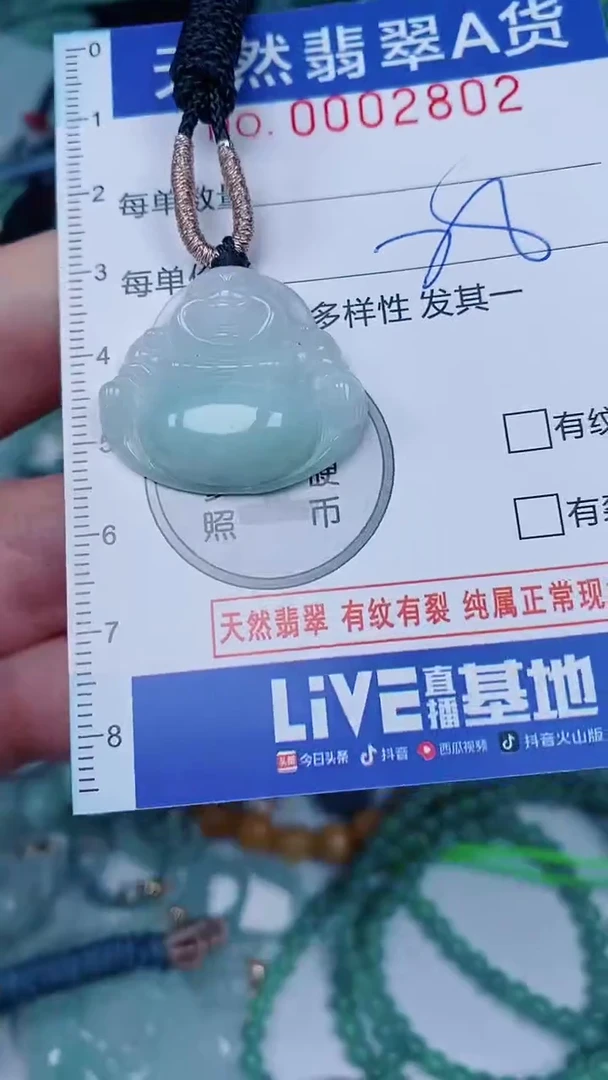 翡翠未镶嵌颈饰00002802
