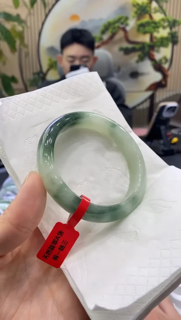 未镶嵌手镯翡翠0173