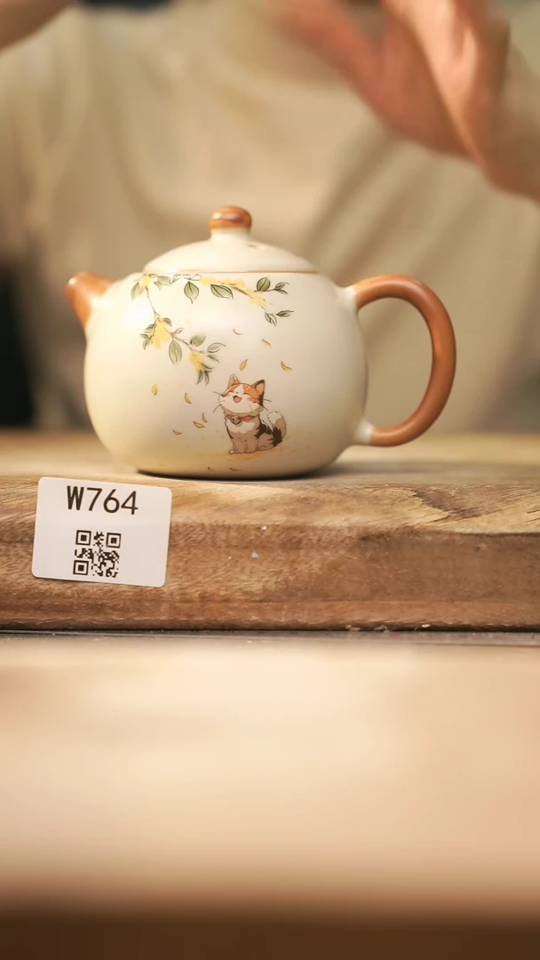 【闪购商品】【经典福利】/ 壶@@W764