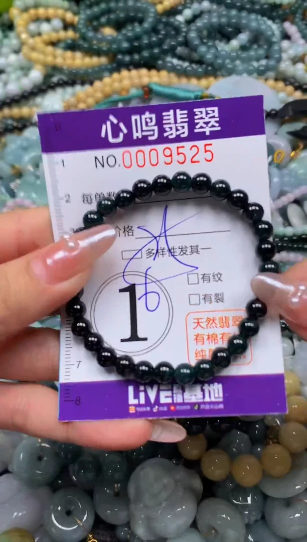 颈饰未镶嵌翡翠闪购009525