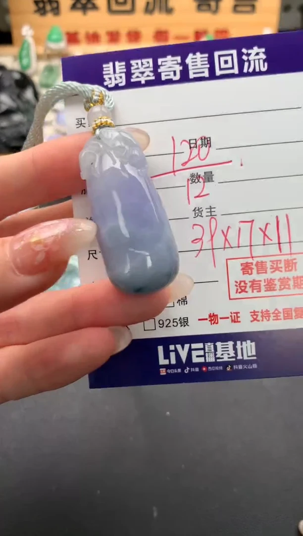 翡翠未镶嵌颈饰10133469