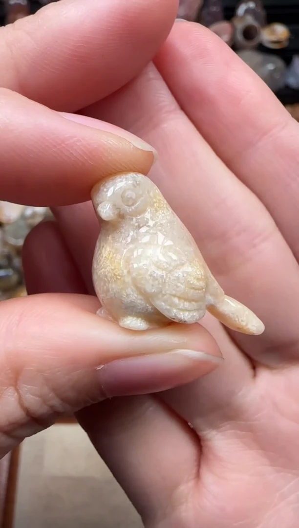 颈饰未镶嵌硅化珊瑚（珊瑚玉）710