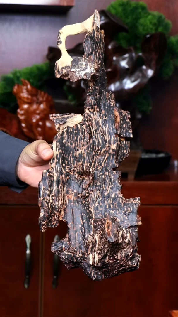 【闪购商品】降真香其他海南红降原材料摆件