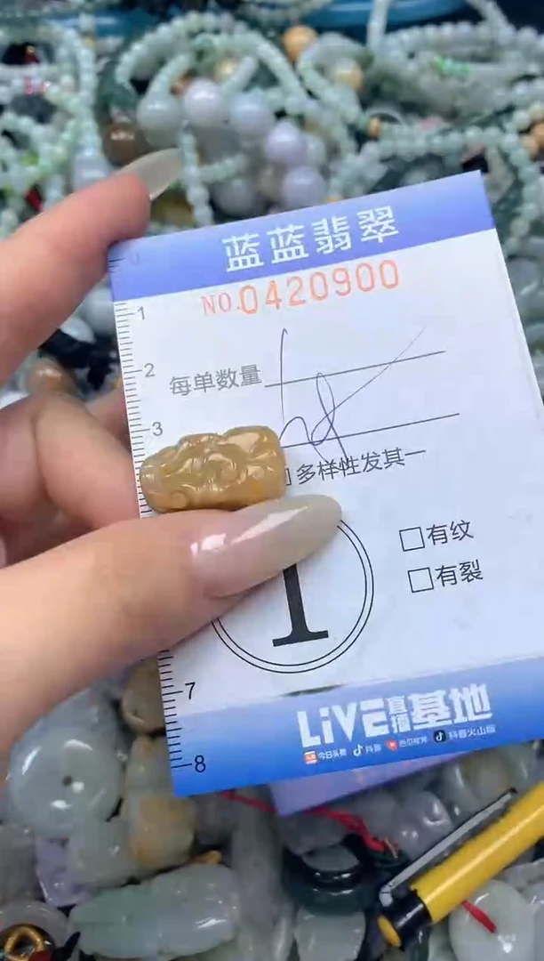 颈饰未镶嵌翡翠闪购0420900