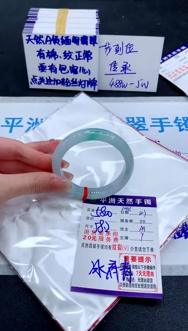 未镶嵌手镯翡翠11111111