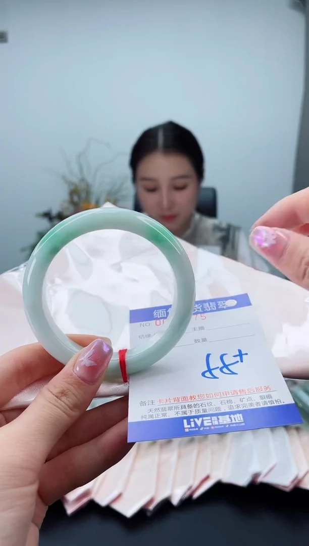 未镶嵌手镯翡翠2