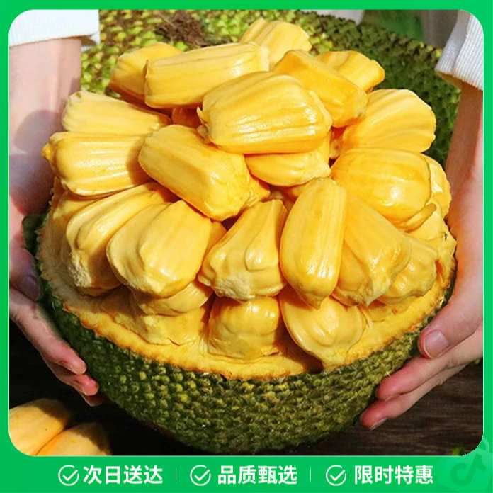 【整果次日达】树熟越南进口红肉菠萝蜜一整颗干苞黄肉纯甜小孩爱吃辅食到手即食新鲜水果直播间包邮