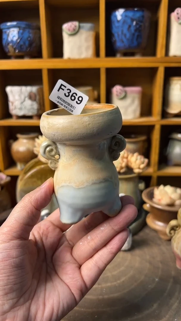 369 内口5【多肉花盆多肉盆】