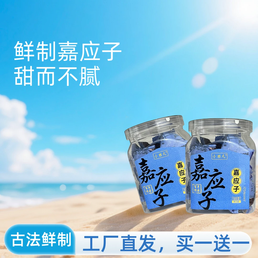 【买一送一】加应子蜜饯李子干饱满怀旧休闲小零食 300g/罐