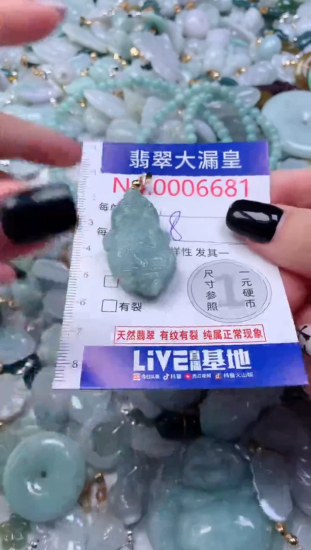颈饰未镶嵌翡翠6681