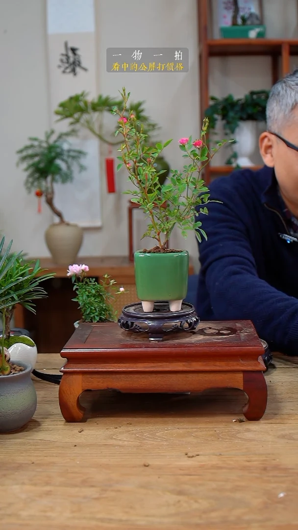 完全开放微***@月季015