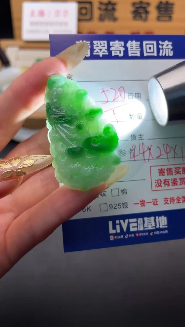 颈饰未镶嵌翡翠10147439